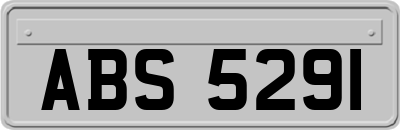ABS5291