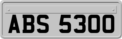 ABS5300