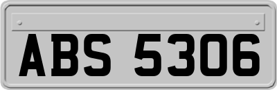 ABS5306