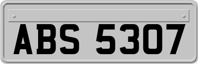 ABS5307