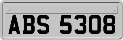 ABS5308