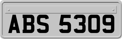 ABS5309