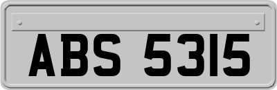 ABS5315