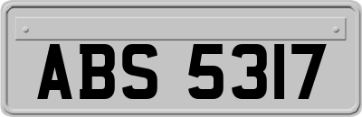 ABS5317