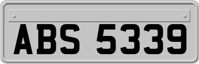 ABS5339