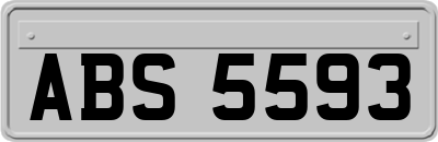 ABS5593