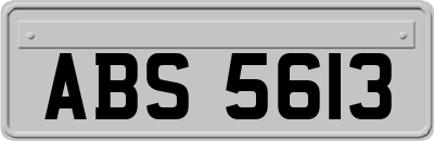 ABS5613