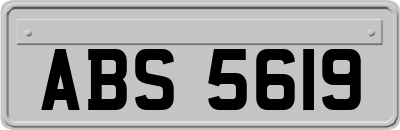 ABS5619
