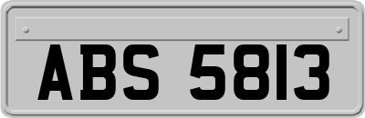 ABS5813