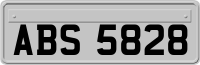 ABS5828