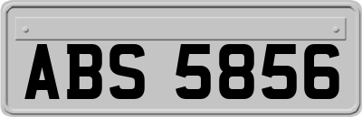 ABS5856