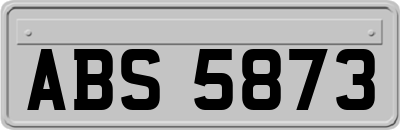 ABS5873