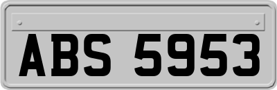 ABS5953