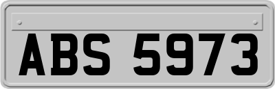 ABS5973