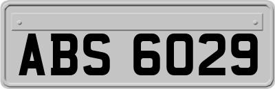ABS6029