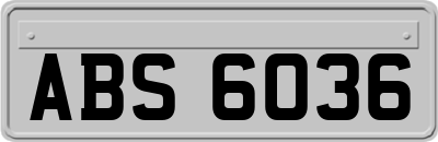 ABS6036
