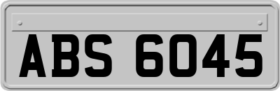 ABS6045