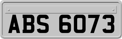ABS6073