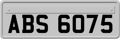 ABS6075