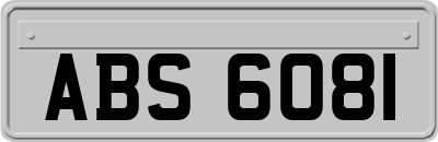 ABS6081