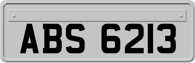 ABS6213