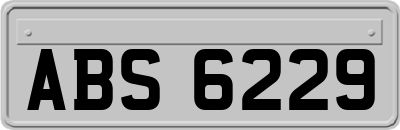 ABS6229