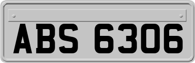 ABS6306