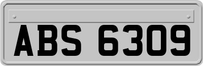 ABS6309