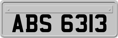 ABS6313