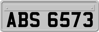 ABS6573