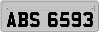 ABS6593