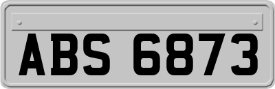 ABS6873