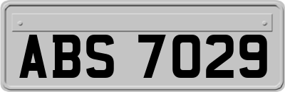ABS7029