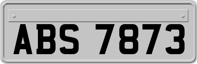 ABS7873