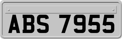 ABS7955