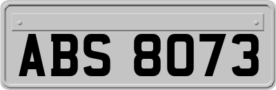 ABS8073