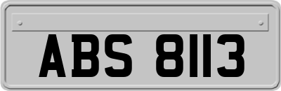 ABS8113