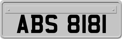 ABS8181