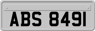 ABS8491