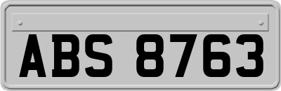 ABS8763