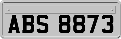 ABS8873