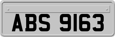 ABS9163