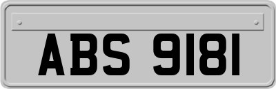 ABS9181