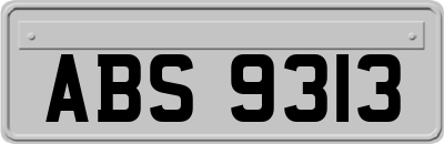 ABS9313