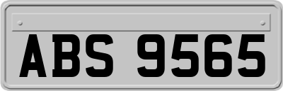 ABS9565