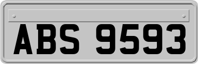 ABS9593