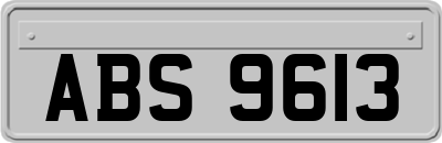 ABS9613