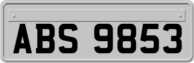 ABS9853
