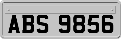 ABS9856