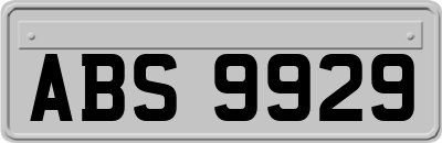 ABS9929
